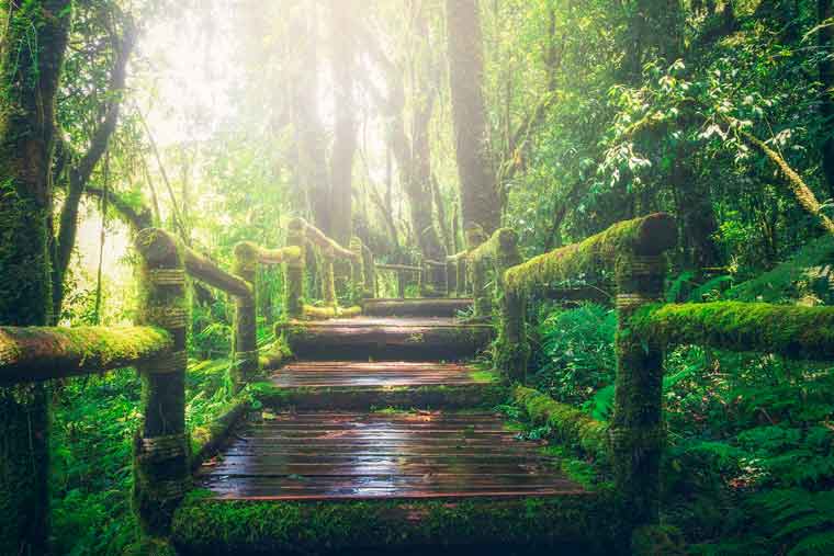 waldbaden-atematmosphaere-airnergy waldbaden-atematmosphaere-airnergy