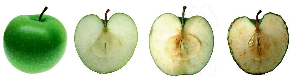 Apfel-frisch-halten-Airnergy Apfel-frisch-halten-Airnergy